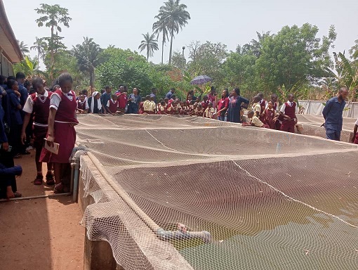 Educational Excursion